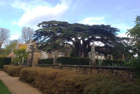 Athelhampton Gardens