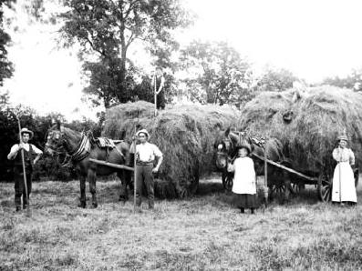 Agricultural Workers